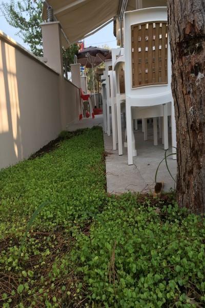Vira Hotel Dalyan Exterior foto